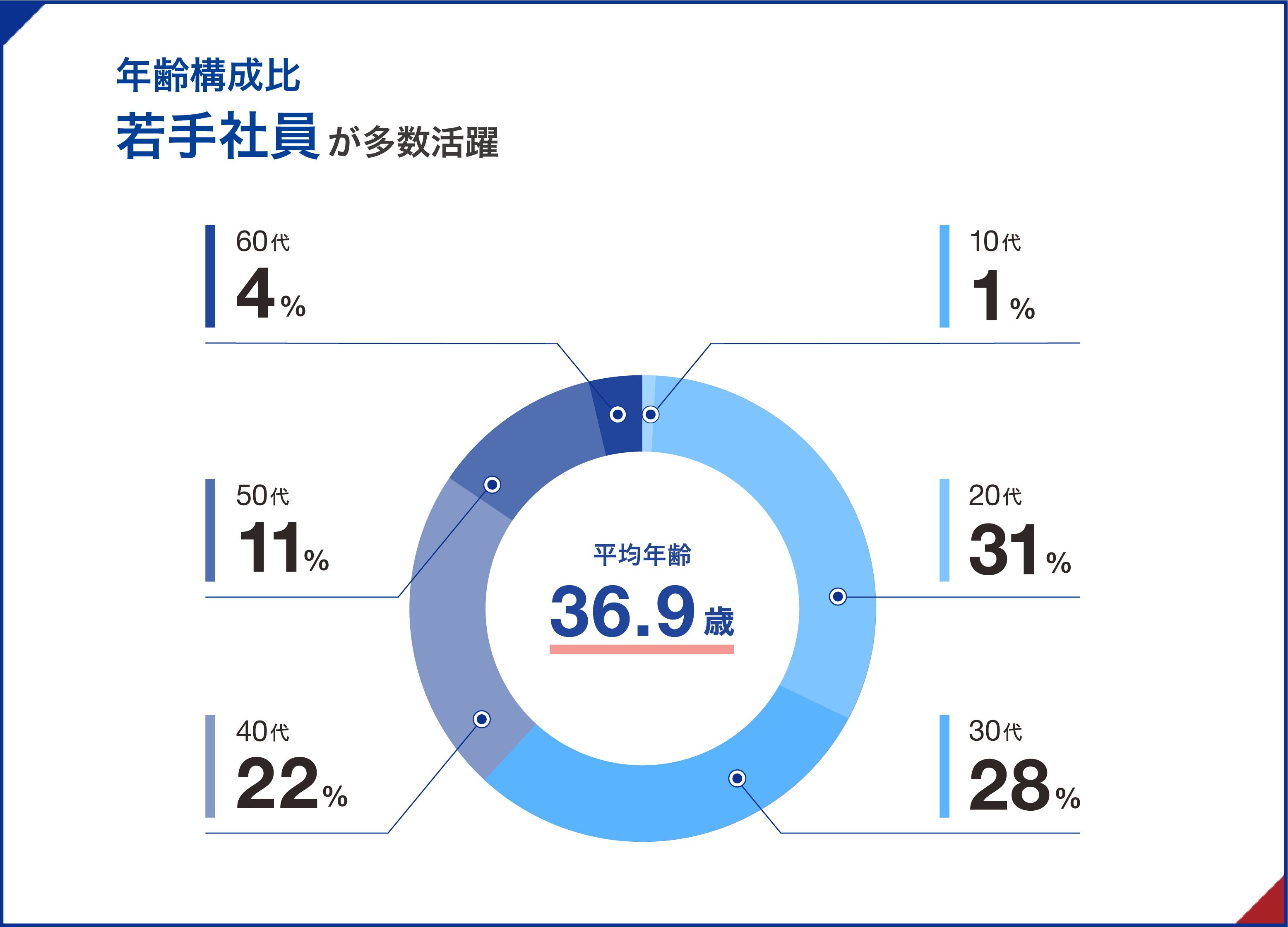 年齢構成比 若手社員が多数活躍