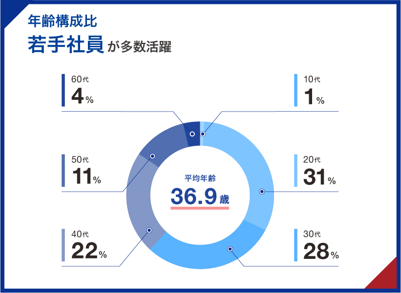 年齢構成比 若手社員が多数活躍