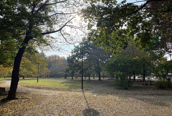 井の頭恩賜公園